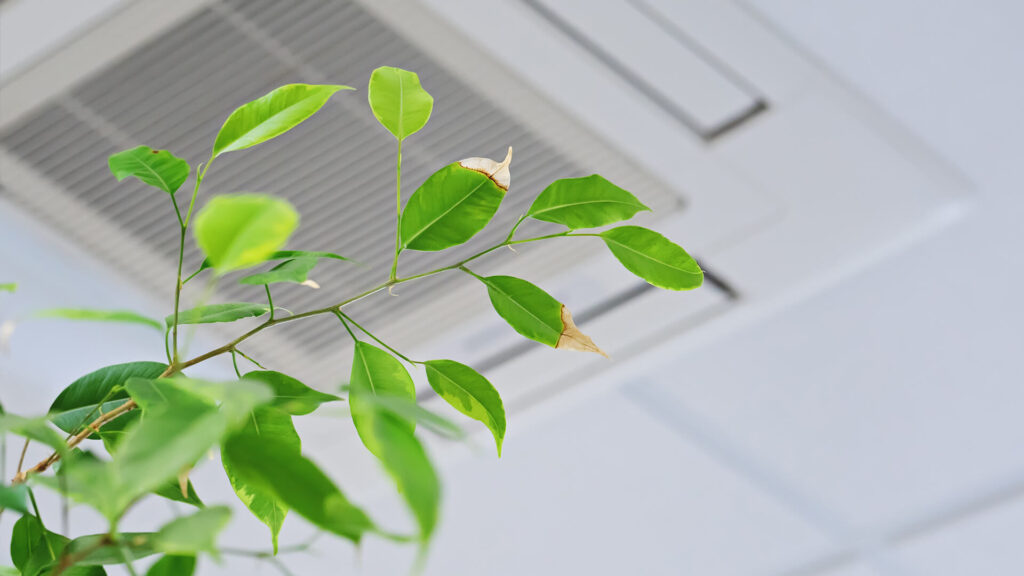 Keep Clean Air In Your Home