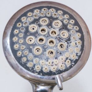 hard water limescale build up on a shower head